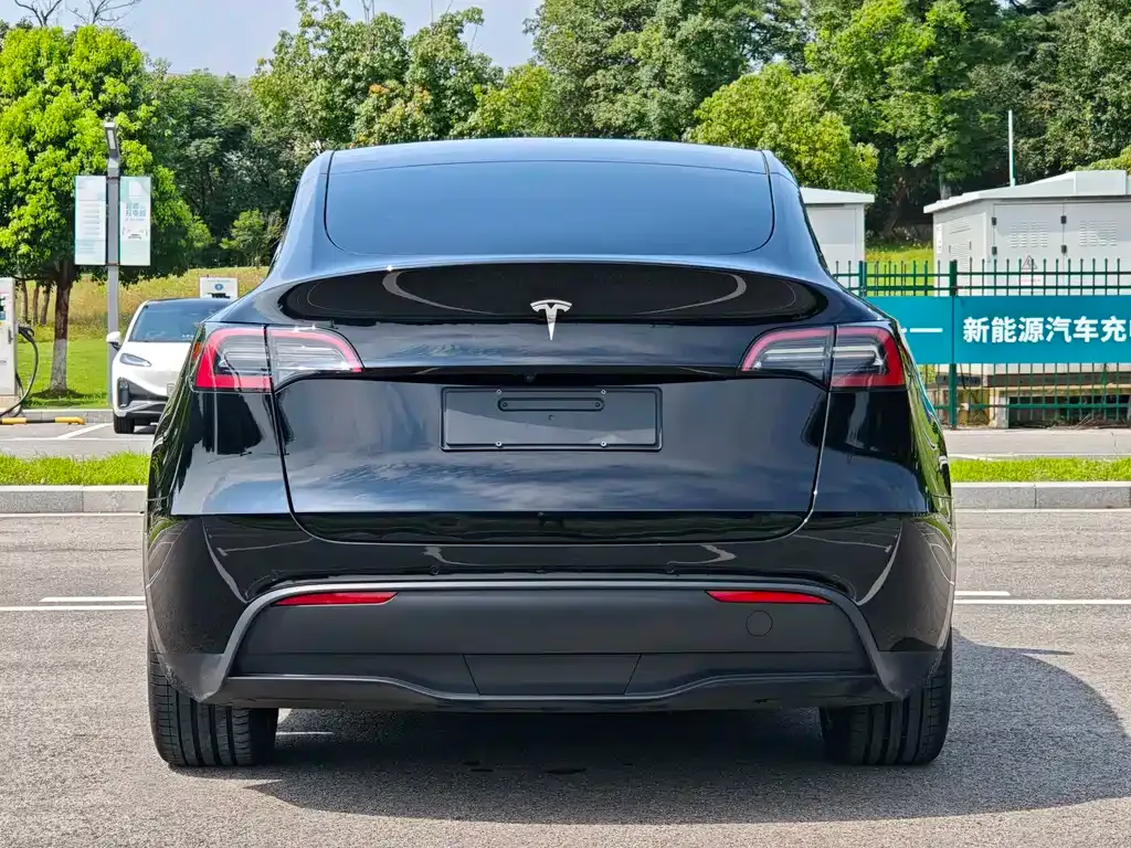 Tesla Model Y — фото 5