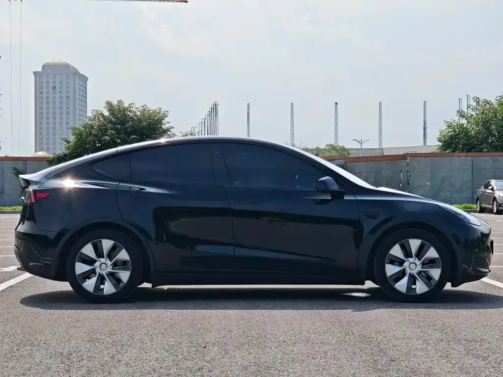Tesla Model Y — фото 3