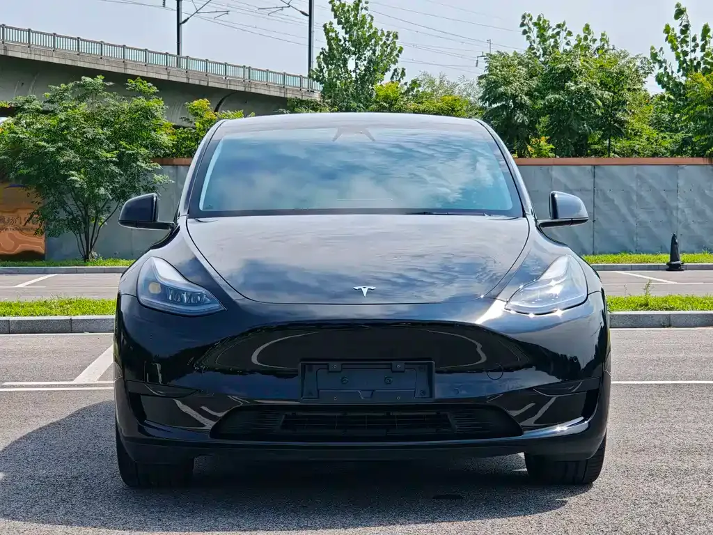 Tesla Model Y — фото 2