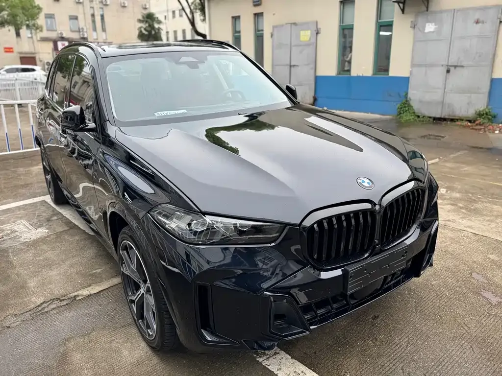 BMW X5 — фото 10