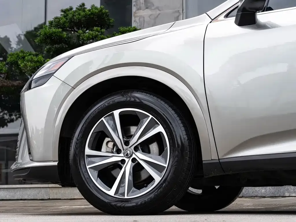 Lexus RX — фото 10