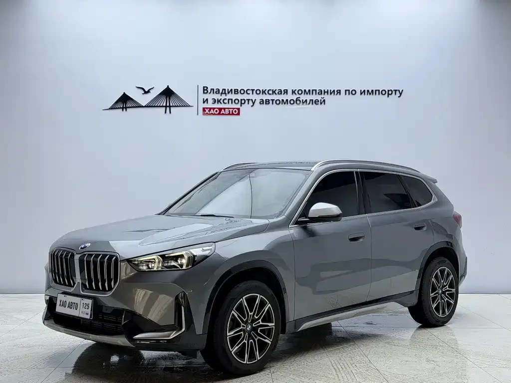 BMW X1 — фото 1