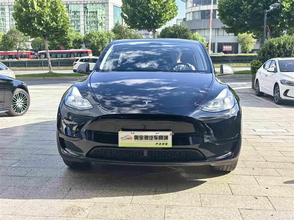 Tesla Model Y — фото 10