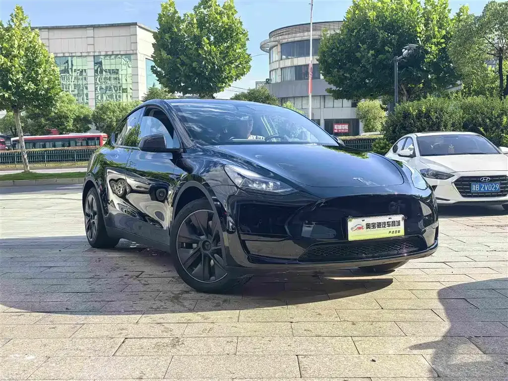 Tesla Model Y — фото 9