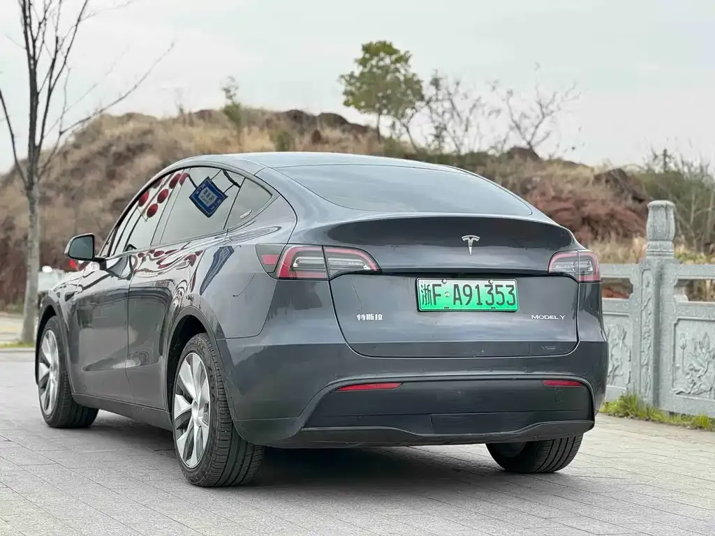 Tesla Model Y — фото 10
