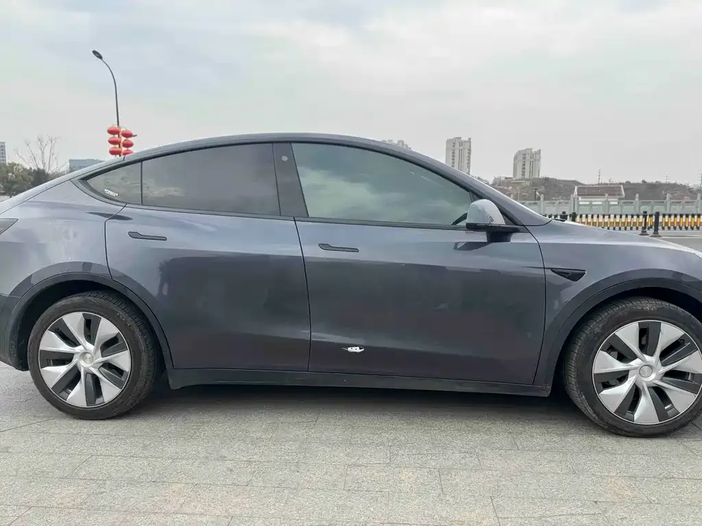 Tesla Model Y — фото 9