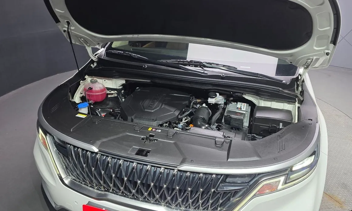 Kia Carnival — фото 10