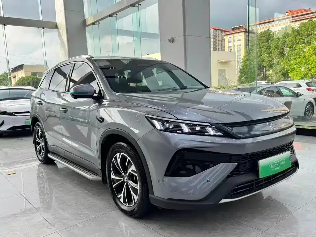 BYD Pro New Energy — фото 2