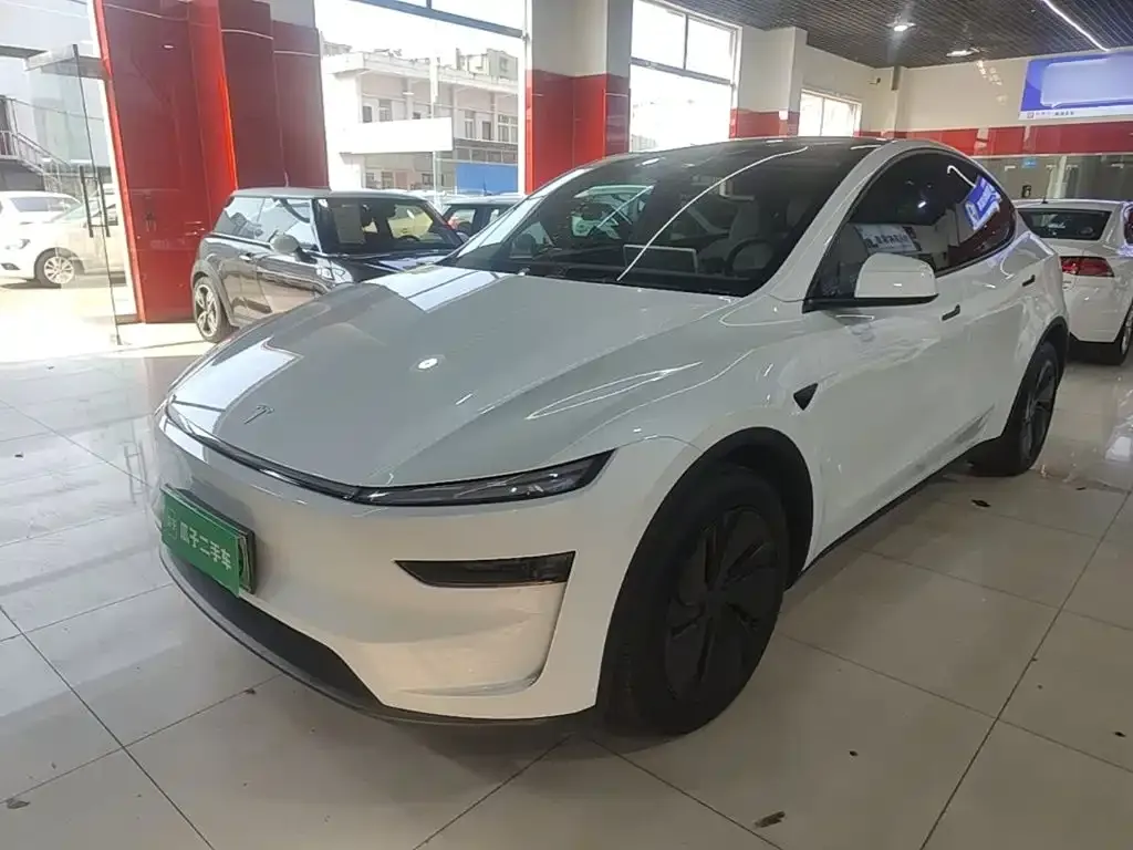 Tesla Model Y — фото 8