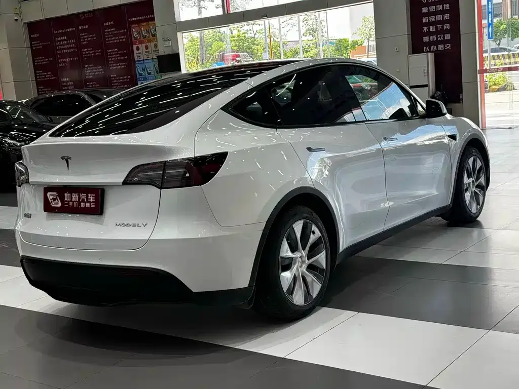 Tesla Model Y — фото 10