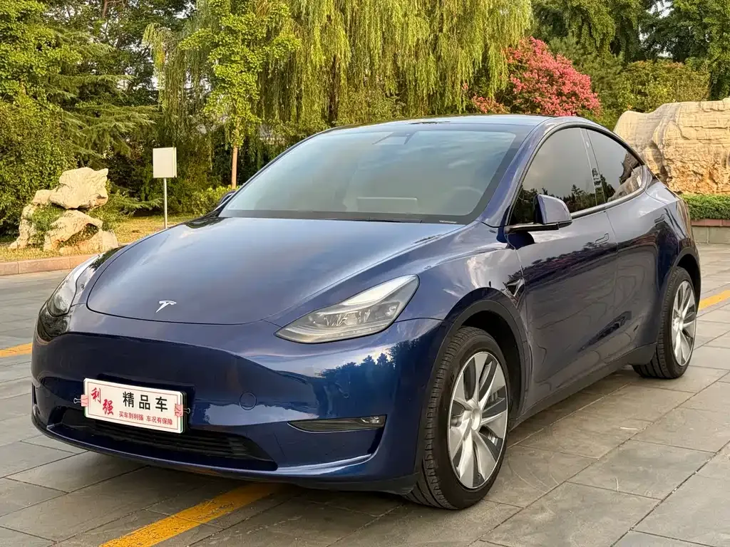 Tesla Model Y — фото 1