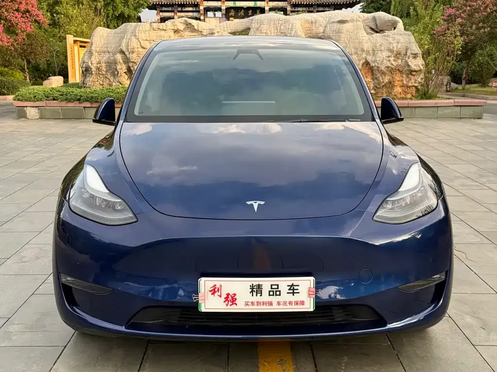 Tesla Model Y — фото 10