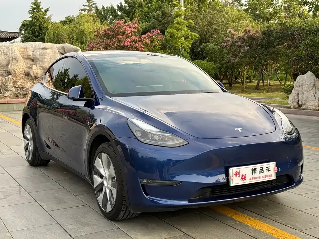 Tesla Model Y — фото 5