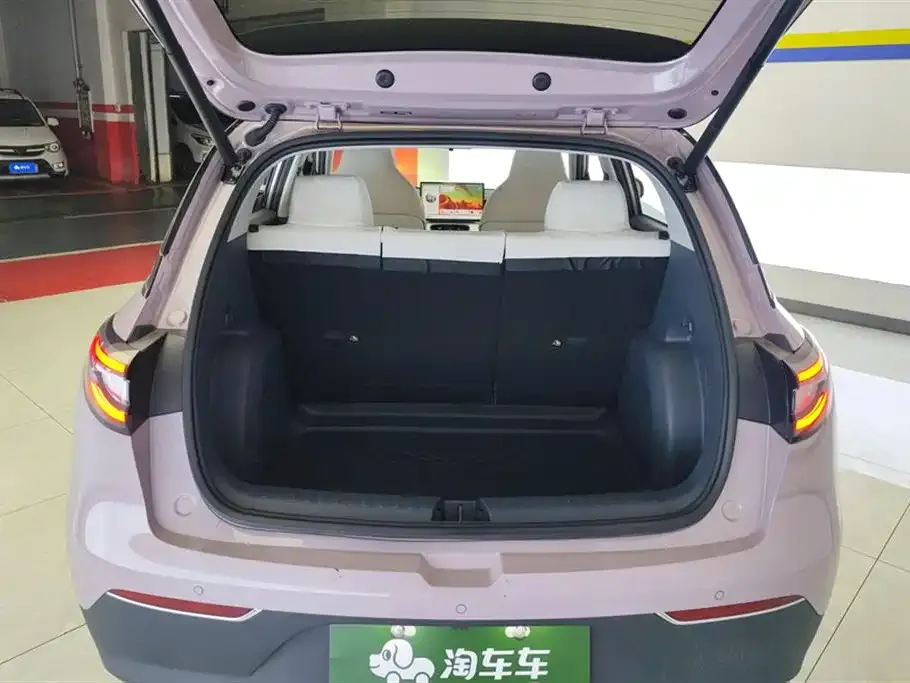 Geely Starburst — фото 9