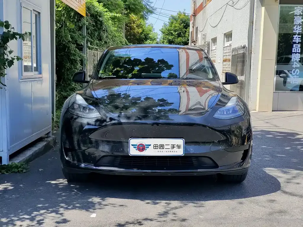 Tesla Model Y — фото 9