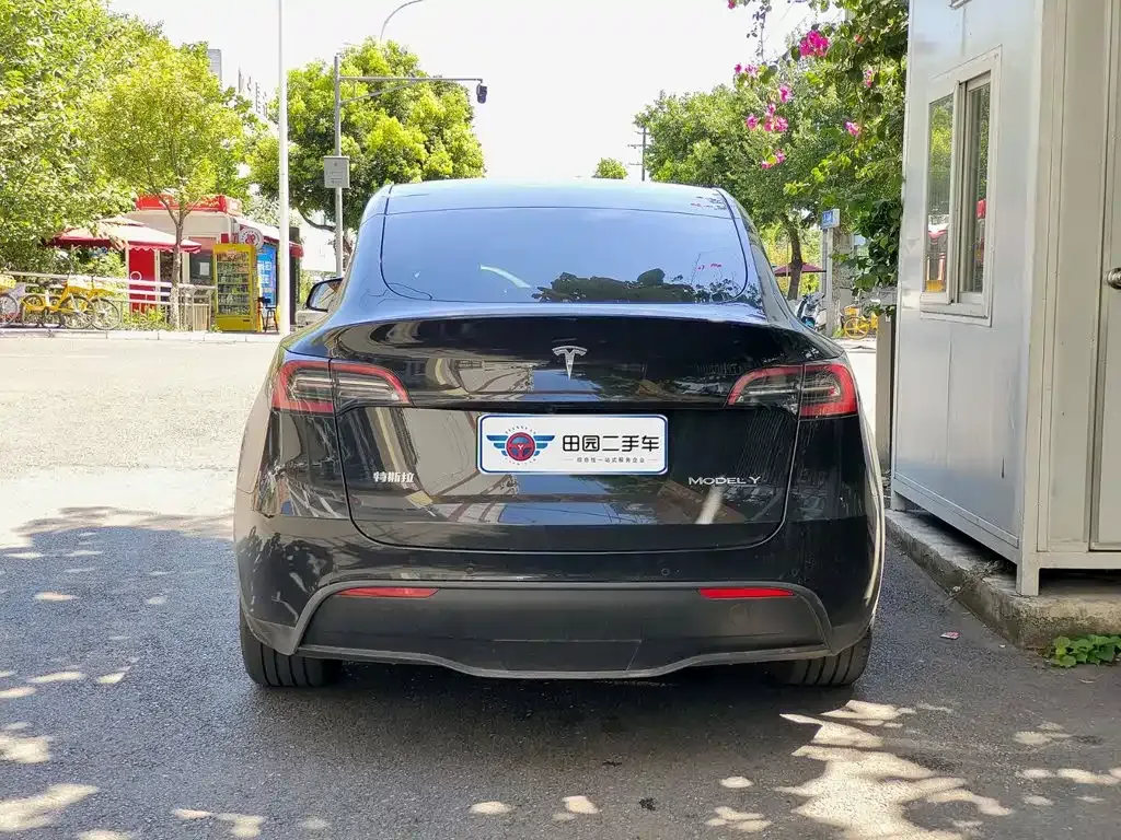 Tesla Model Y — фото 10
