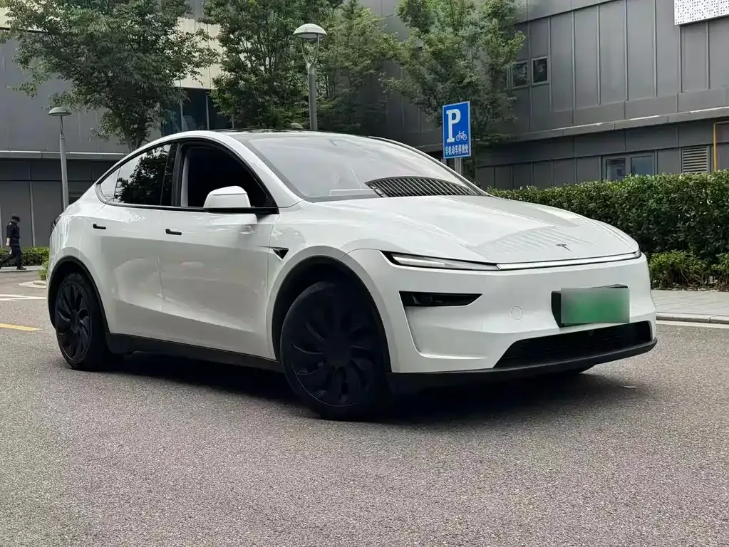 Tesla Model Y — фото 10