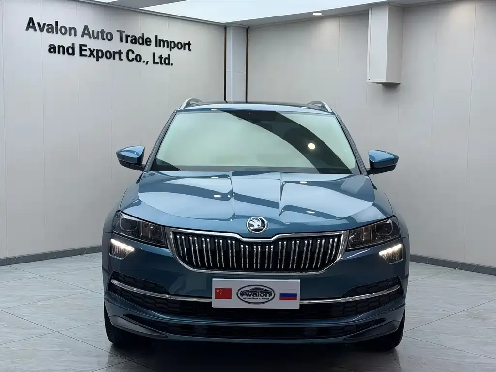Skoda Karoq — фото 6