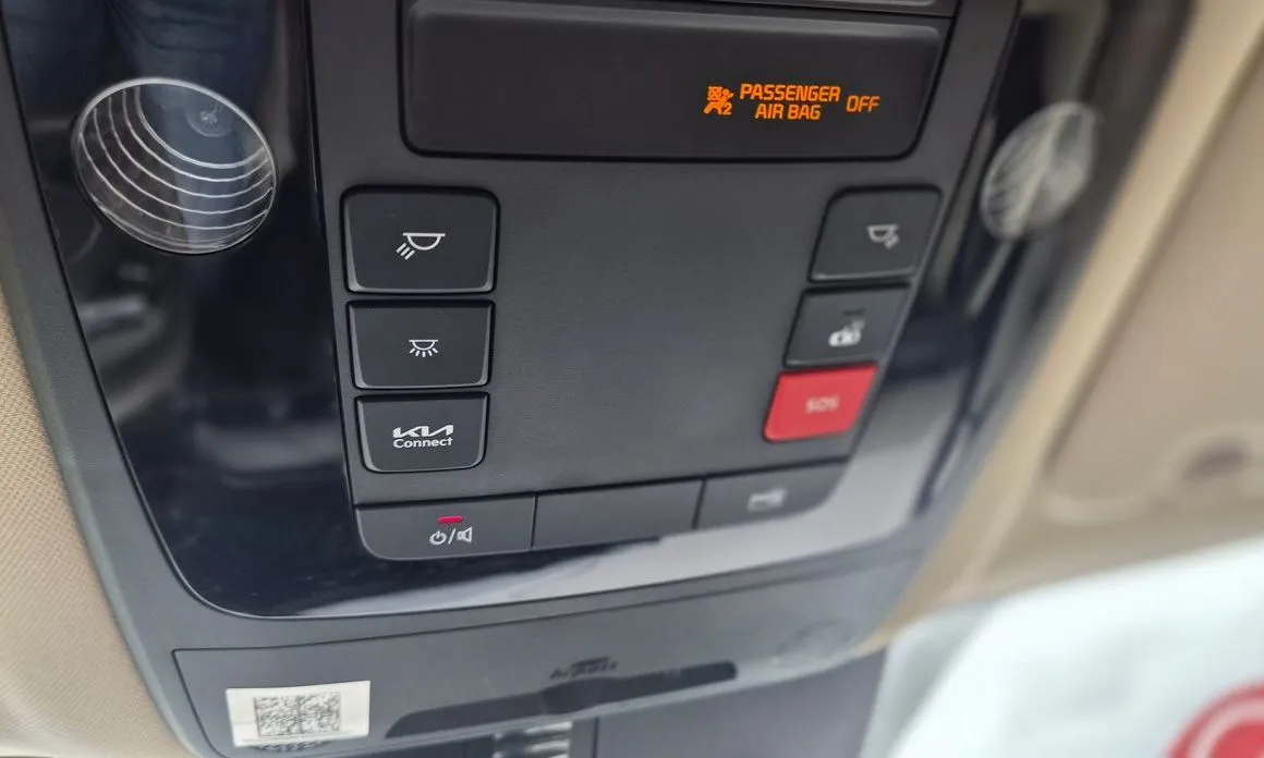 Kia Carnival — фото 10