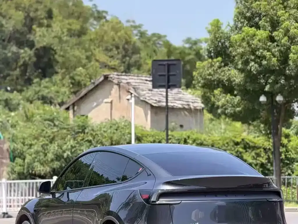 Tesla Model Y — фото 4