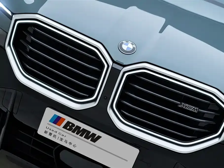 BMW XM — фото 10