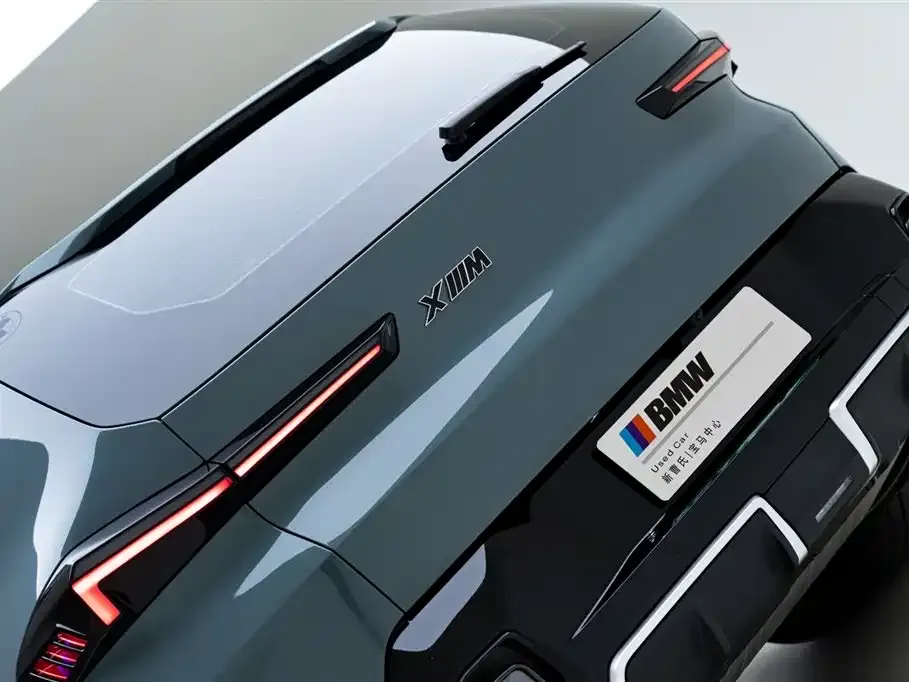 BMW XM — фото 6