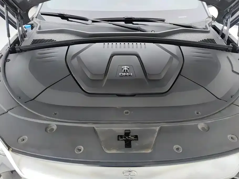 BYD PLUS New Energy — фото 10