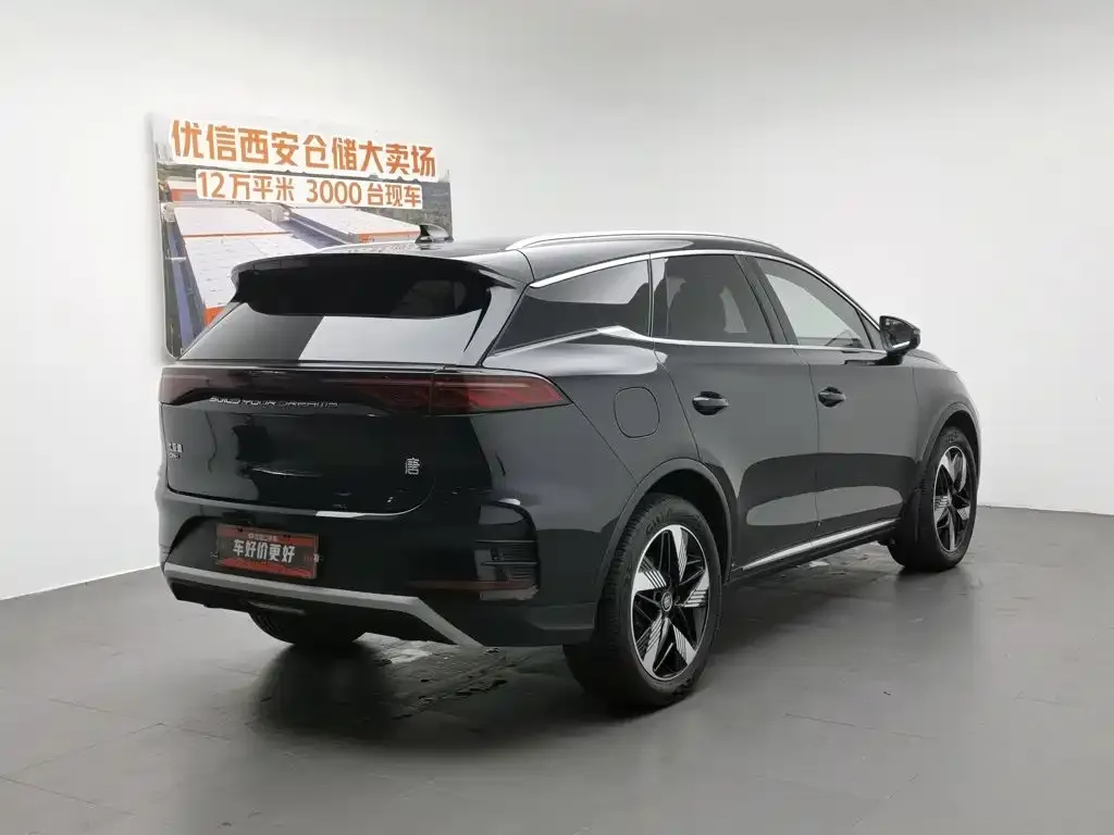 BYD Tang New Energy 2024 из CN, фото 5