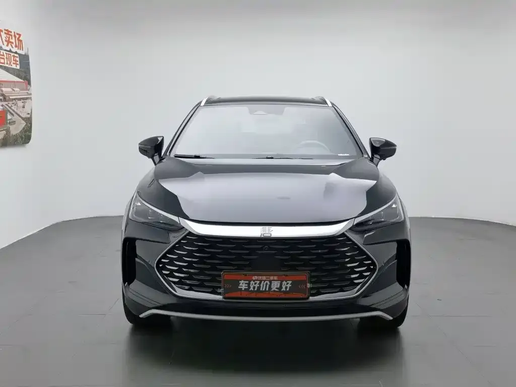 BYD Tang New Energy 2024 из CN, фото 2