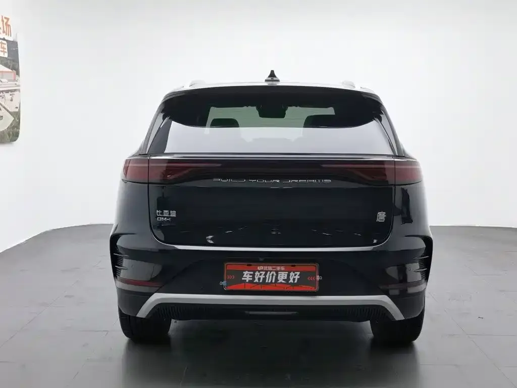BYD Tang New Energy 2024 из CN, фото 3