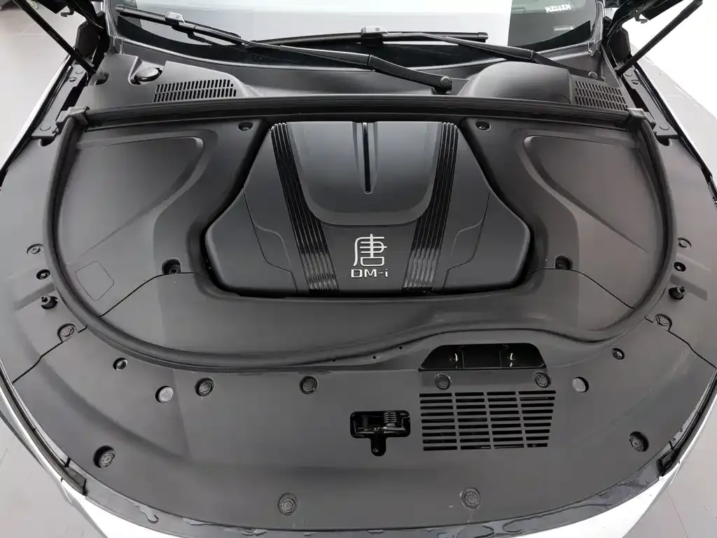 BYD Tang New Energy 2024 из CN, фото 6