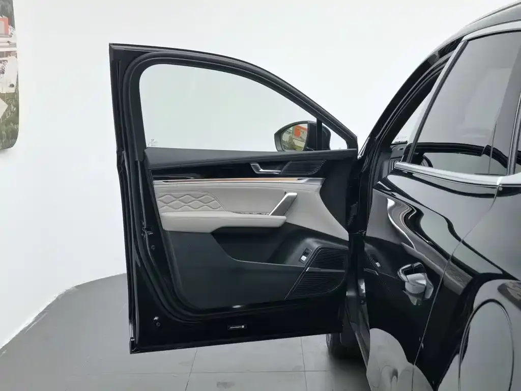 BYD Tang New Energy 2024 из CN, фото 7