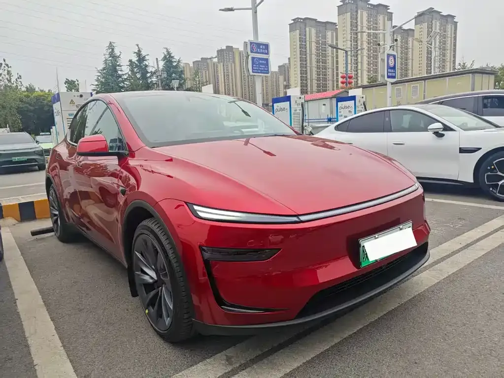 Tesla Model Y — фото 10