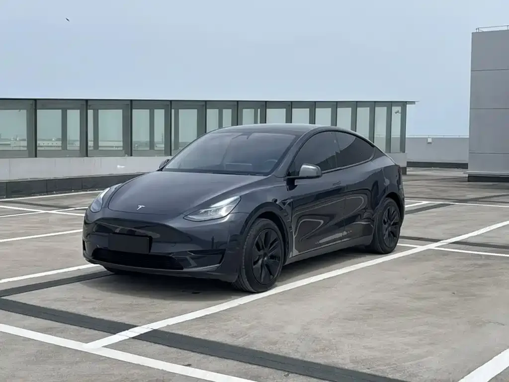 Tesla Model Y — фото 4