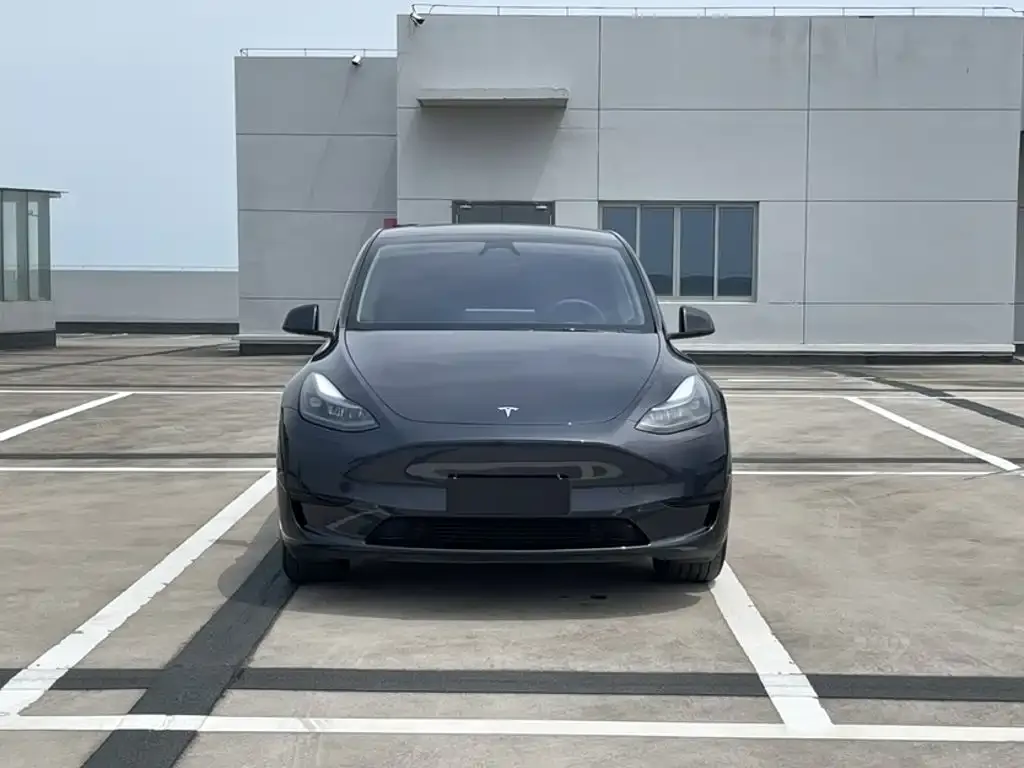 Tesla Model Y — фото 7