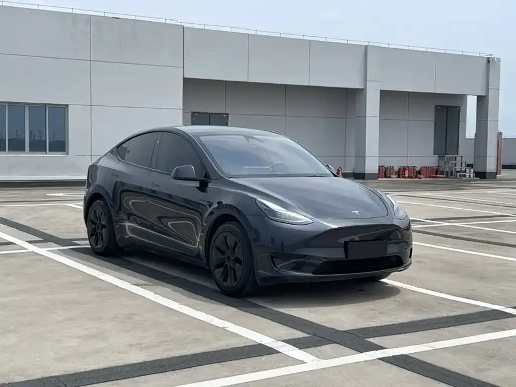 Tesla Model Y — фото 8