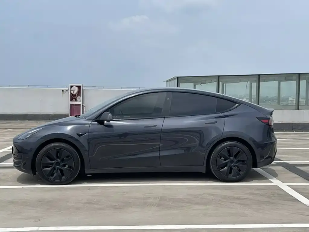 Tesla Model Y — фото 2