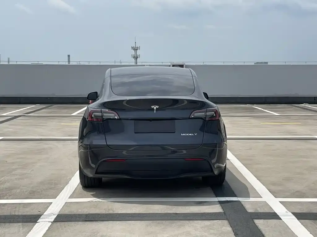 Tesla Model Y — фото 3