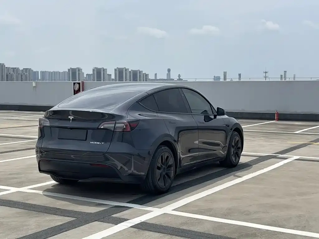 Tesla Model Y — фото 9