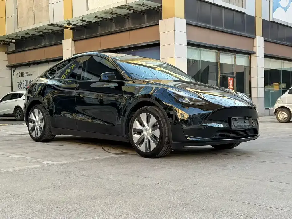 Tesla Model Y — фото 8