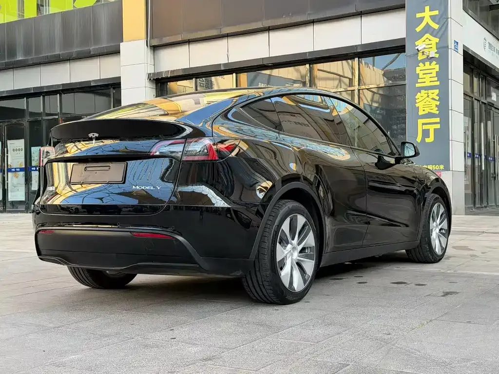 Tesla Model Y — фото 9