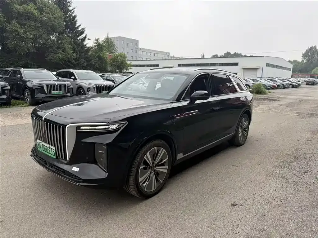 Hongqi E-HS9 — фото 3