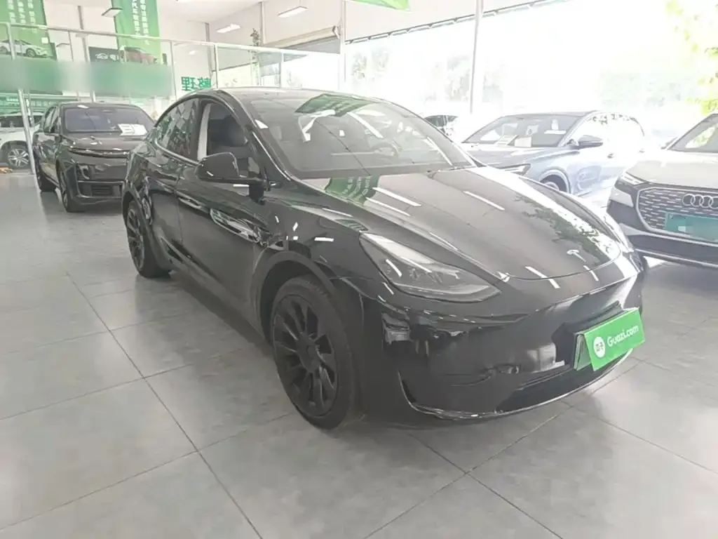 Tesla Model Y — фото 9