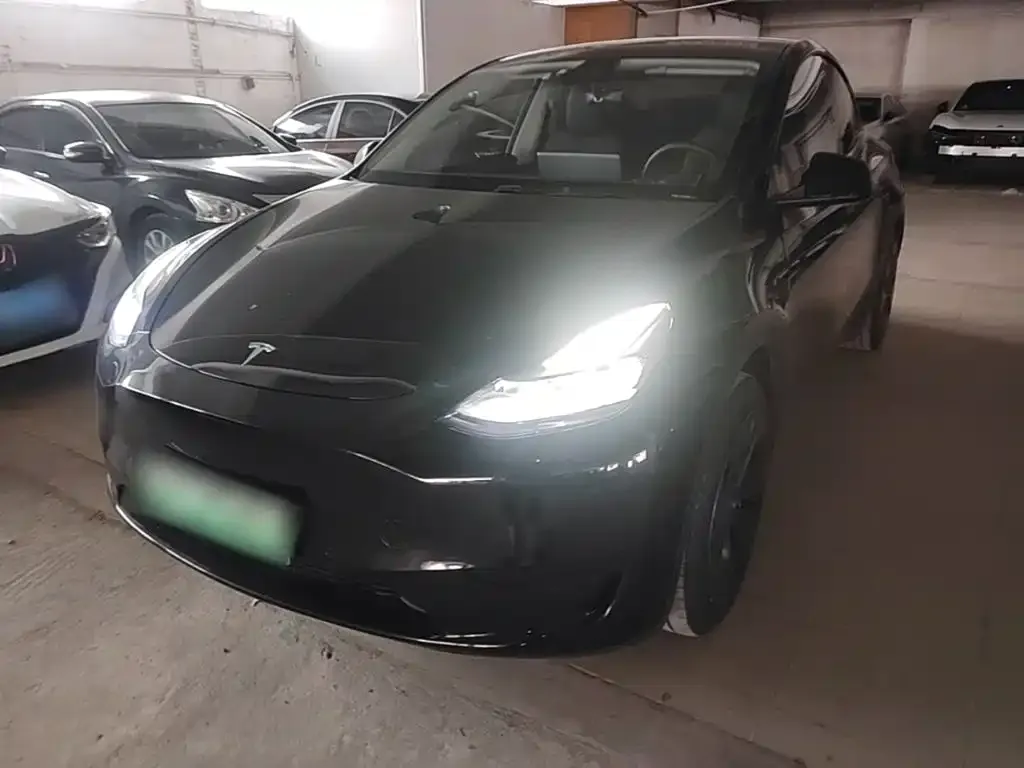 Tesla Model Y — фото 2