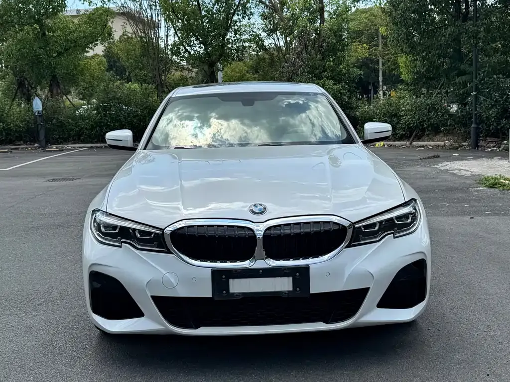BMW 3 Series 2022 из CN, фото 7