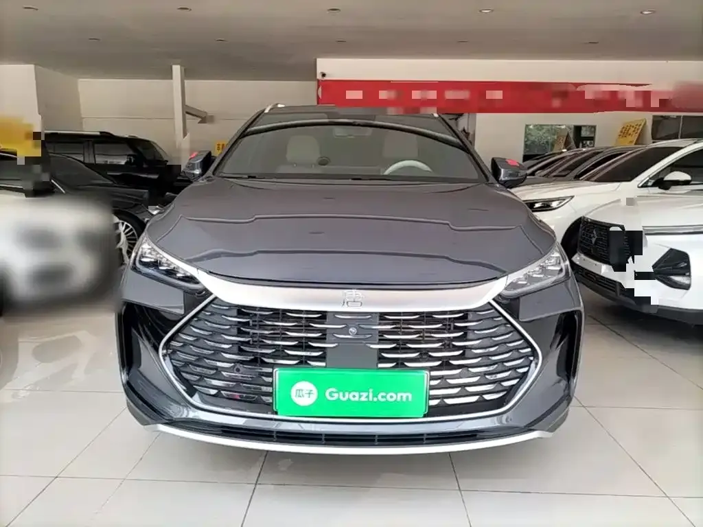 BYD Tang New Energy — фото 10