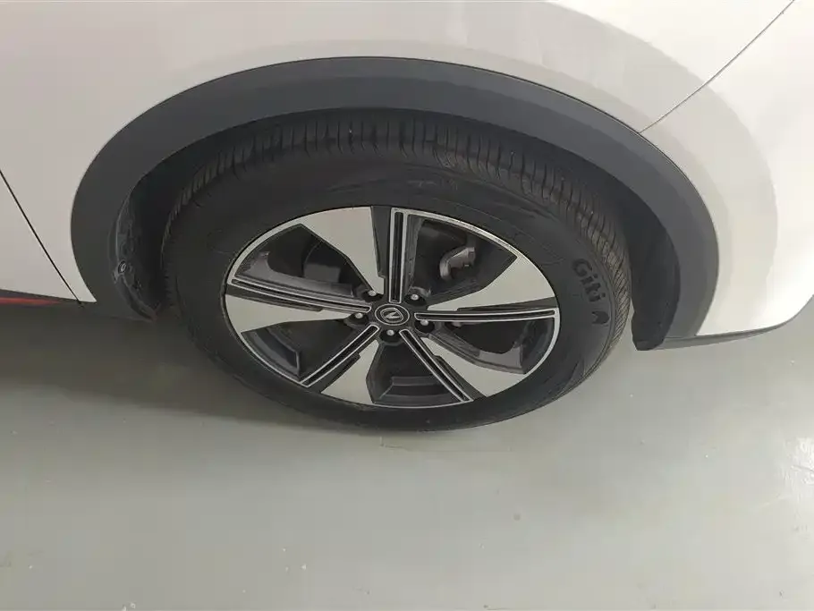 Changan CS55PLUS 2023 из CN, фото 4