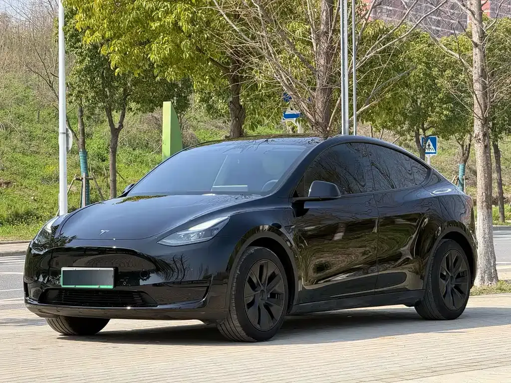 Tesla Model Y — фото 1
