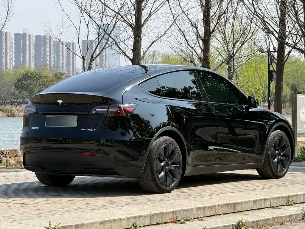 Tesla Model Y — фото 7