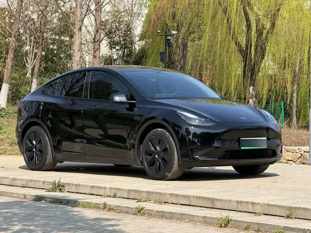 Tesla Model Y — фото 10